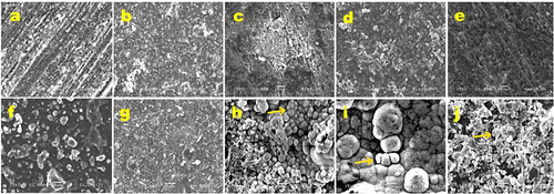 Figure 3 SEM micrographs of infiltrant samples without storage (0 h; upper row) and after 30 days of storage in SBF (30 d; lower row). 1000x magnification. Size bar: 10 µm. (a) IC 0 h, (b) PE 0 h, (c) Bio5 0 h, (d) Bio10 0 h and (e) Hap10 0 h; (f) IC 30 d, (g) PE 30 d, (h) Bio5 30 d, (i) Bio10 30 d and (j) Hap10 30 d. Yellow arrows: spherical agglomerates/precipitates.