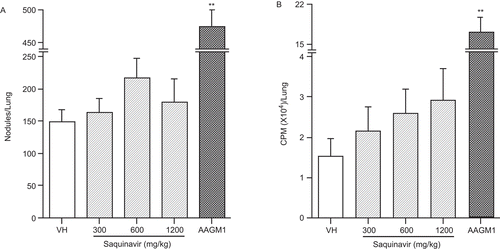 Figure 3.  Effect of SQV on host resistance to B16F10 melanoma (A: nodules/lung; B: cpm/lung) in female B6C3F1 mice. Animals were treated with 0.5% methylcellulose (VH) or SQV, and then challenged with the pathogens as described. Rabbit anti-asialo GM1 (AAGM1) antibody was used as the positive control for B16F10 melanoma study, which was given to animals at 0.2 mL of 1:10 dilution by intravenous injection 24 hr prior to the assay. cpm = counts per minute of lung radioactivity following incorporation of [125I]-UdR. Values represent the mean (±SE) derived from N = 12 animals. The actual values obtained for the positive control groups were 475 ± 25 and 16.9 ± 3.5 for panels A and B, respectively. **P ≤ 0.01 vs. VH control.