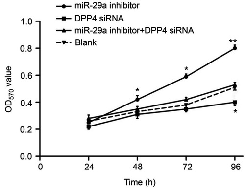 Figure 5 miR-29a inhibited K1 cells proliferation by targeting DPP4. *P<0.05 or **P<0.01 when compared with the blank group.