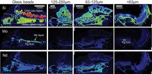 Figure 4. Elemental distributions of Si, Mo, and Nd on vertical sections of the cold-cap samples. White dashed lines on Si mappings show the boundary of the upper cold-cap region and lower molten-glass region.
