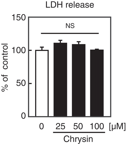 Figure 5. Effect of chrysin on LDH release from Huh-7 cells.Huh-7 cells were treated with the indicated concentrations of chrysin for 9 h, followed by LDH assay. All data are expressed as means ± SE (n = 4). NS = not significant.