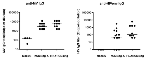 Figure 3. Humoral immune response against rMVb-HIVenv. black/6, hCD46tg-A, and IFNARCD46tg mice were immunized intranasal (i.n) with 105 pfu rMVb2-HIVenv followed by an intramuscular (i.m) boost after 4 wk. Humoral responses against MV-N and HIVenv were assessed 6 wk post immunization.
