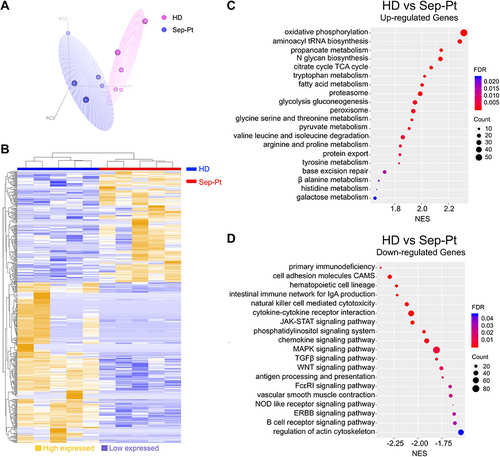 Figure 2 Septic ASCs exhibit unique molecular features. (A) Principal component analysis (PCA) of the global ASCs transcriptome between HD (purple spheres, n = 5) and Sep-Pt groups (blue spheres, n = 5). (B) Heat map of different genes expression in ASCs between HD and Sep-Pt groups. 210 highly expressed genes are in orange, and 303 lowly expressed genes are in blue. HD group in blue, Sep-Pt group in red. The data were normalized and hierarchically clustered (Spearman uncentered algorithm, average linkage). (C and D) Normalized enrichment score for gene ontology biological processes.