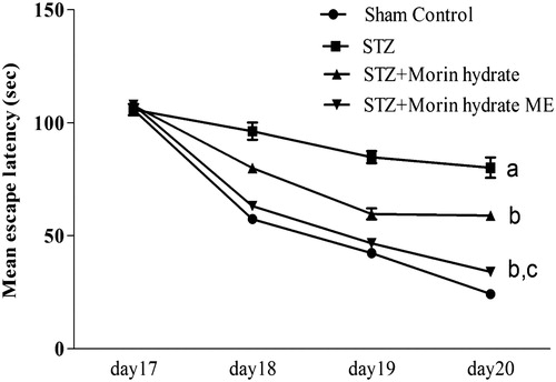 Figure 7. Effect of morin hydrate loaded microemulsion (ME) on mean latency in Morris water maze (MWM) task in ICV-STZ infused rats. aP < 0.05 versus sham control; bP < 0.05 versus STZ; cP < 0.05 versus STZ + morin hydrate.