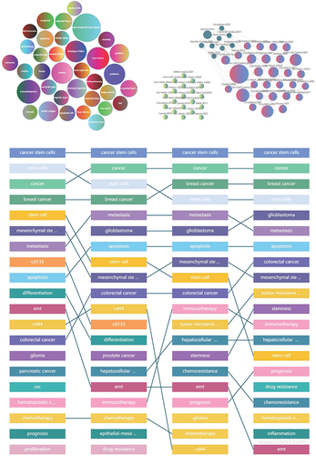 Figure 1 From the content of references retrieval from 1992 to 2022, CCHD has always been a research hotspot, with more research on molecular mechanism and CCHD management and less on prediction of CCHD by multimodal radiomics. Novelty of the work is a prediction model/nomograph tool established using the MVAM anatomical soft markers combined with clinical data, which has not been reported before. The specific method to obtain the figure: log in to https://www.citexs.com/website, select “AI literature big data analysis”, enter “congenital heart disease”, adjust the time node to “1992–2022”, and then confirm to “export the figure”.