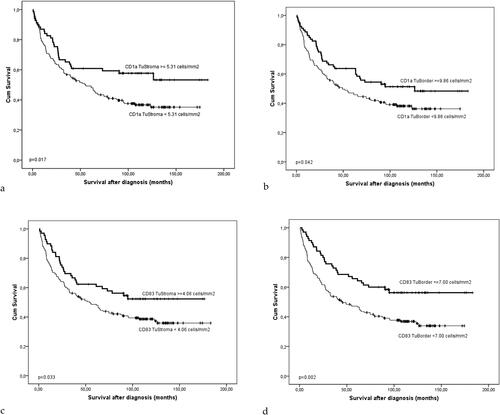 Figure 5. Kaplan-Meier survival curve of the patients with CRCs according to the density (cells/mm2) of CD1a+ (A and B) and CD83+ DCs (C and D) in the TS (A and C) and tumor border, IF (B and D). The significance of the difference is assessed with Log-rank test (A: p = 0.017; B: p = 0.042; C: p = 0.033; D: p = 0.002).