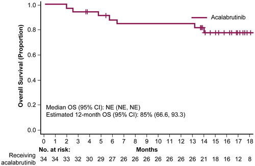 Figure 3. Overall survival. Kaplan-Meier curve for OS with Kaplan-Meier estimates. CI, confidence interval; NE, not evaluable; OS, overall survival.