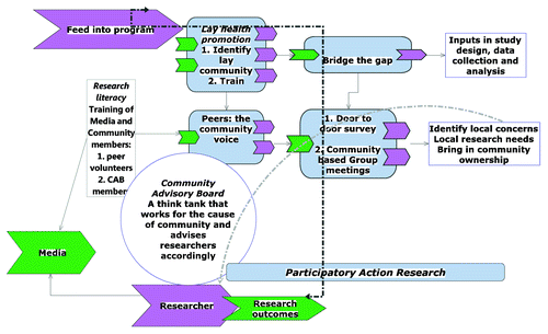 Figure 1. A conceptual framework of community involvement using lay health promotion model and using participatory approach to facilitate community based recruitment of healthy volunteers for phase 1 HIV vaccine trial in India. The structural components of recruitment plan were: (1) Community Advisory Board; (2) Community volunteers designated as peers. Peers and CAB were involved in evolving strategies of recruitment based on lessons learnt during interim assessments. Media was informed periodically.