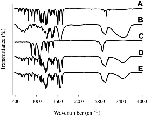Figure 6 FTIR spectra: (A) bezafibrate, (B) PVP K30, (C) Cremophor ELP, (D) physical mixture and (E) electrosprayed ternary solid dispersion formulation V.