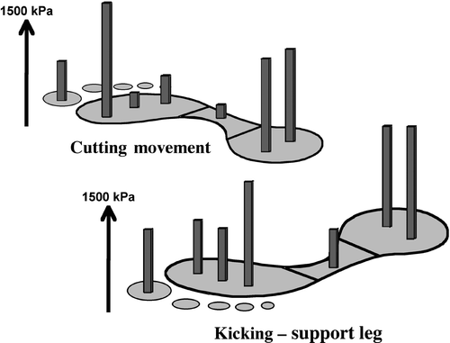 Figure 4. Peak plantar pressures patterns during a cutting movement and under the support leg for kicking.