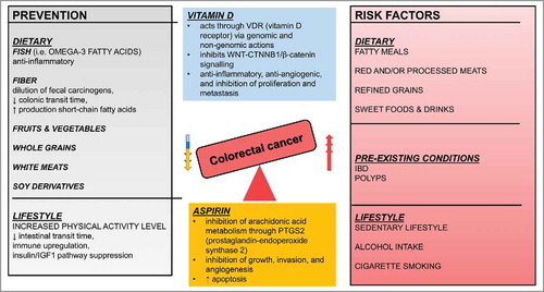 Figure 2. Schematic representation of factors that increase risk or prevent CRC. Both lifestyle and diet affect incidence of CRC as they can be both preventive and risk factors.