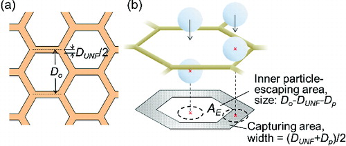 FIG. 2. A schematic for (a) a unit cell of hexagonal UNF net structure and (b) the corresponding interception mechanism.