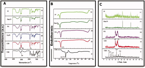 Figure 6. Fourier-transform infrared (A), differential scanning calorimeter (B), and powder X-ray diffraction (C) spectra of (i) TMB, (ii) GMS, (iii) PM, (iv) plain F9, and (v) TMB-NLC (F9).