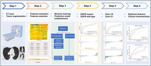 Figure 1 Workflow diagram of the study.