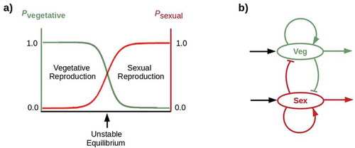 Figure 3. A) Winner-take-all competition: probabilities (p) of vegetative (green) and sexual (red) reproduction cross at an unstable equilibrium. b) A simple “flip-flop” circuit implements winner-take-all competition
