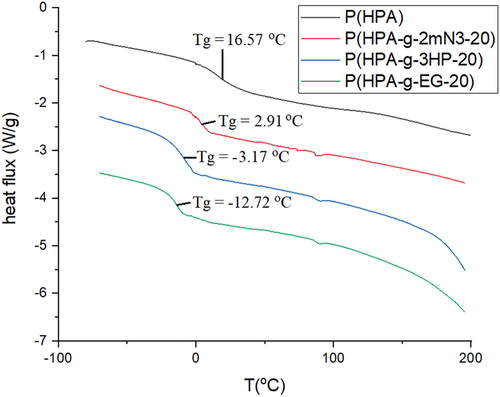 Figure 15. DSC thermograms of poly(2-hydroxypropyl acrylate) homopolymer, poly(2HPA-g-EG) graft copolymer, poly(2HPA-g-mBA) graft copolymer, and poly(2HPA-g-3HP) graft copolymer.