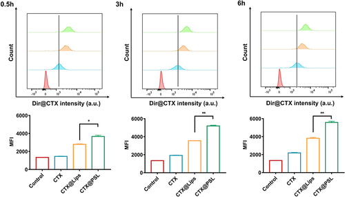 Figure 3 Cellular uptake efficacy of Dir@CTX loaded nanoparticles using flow cytometry, n = 3. All the data are presented as mean ± SD, *p<0.05, **p<0.01.