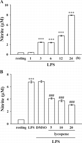 Figure 1  Effect of lycopene on nitrite formation in LPS-activated microglia. Microglia (5 × 105 cells/mL) were treated with (A) LPS (100 ng/mL) at the indicated times (1–24 h) OR (B) various concentrations of lycopene (5, 10, and 20 μ M) or an isovolumetric solvent control (0.1% DMSO) for 30 min, followed by the addition of LPS (100 ng/mL). Cell-free supernatants were assayed for nitrite production as described in “Materials and Methods.” Data are presented as the means ± SEM (n = 4). ***p < 0.001 compared with the resting group; # # #p < 0.001 compared with the LPS-treated group.