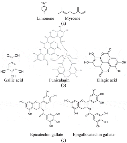 Figure 1. Major chemical compositions of (a) apium graveolens, (b) punica granatum, and (c) Camellia Sinensis.