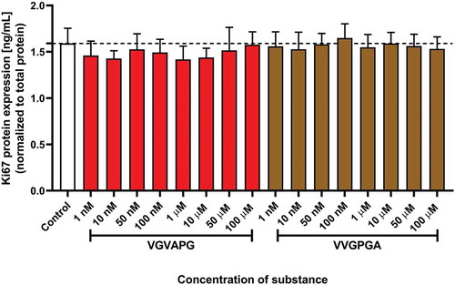 Figure 2. Effect of the increasing concentrations of VGVAPG or VVGPGA peptides on the expression of Ki67 protein. Ki67 level was measured by the ELISA method after 48 h of exposure of 3T3-L1 cell line to the studied peptides. Data are expressed as mean ± SD of three independent experiments, each of which comprised six replicates per treatment group