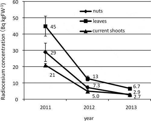 Figure 1 Changes in radiocesium concentrations (134Cs + 137Cs) in nuts, leaves and current shoots of chestnuts (Castanea crenata Sieold & Zucc.). Values are means of samples collected from three trees. Bars indicate standard error of the mean.