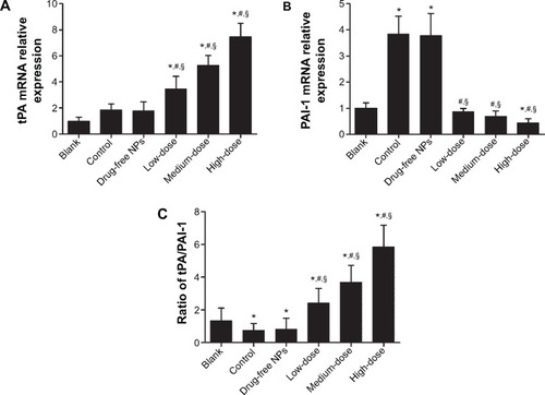 Figure 7 tPA mRNA expression (A), PAI-1 mRNA expression (B), and the ratio of protein expression level of tPA/PAI (C) in peritoneal tissues.Notes: High, medium and low dose groups were administered with 10, 5 and 2.5 mg/kg Tan IIA-NPs via tail vein injection, respectively. Relative expression levels of tPA and PAI-1 mRNAs are normalized against β-actin. The ratio of protein expression level of tPA/PAI was detected by enzyme-linked immunosorbent assay and the ratio was evaluated using the following formula: ratio of tPA/PAI = (level of tPA protein/total protein)/(level of PAI protein/total protein). Results are expressed as a percentage of controls and shown as mean ± standard deviation (n=5). *P<0.05 compared with blank; #P<0.05 compared with control; §P<0.05 compared with drug-free NPs.Abbreviations: NPs, nanoparticles; tPA, tissue-type plasminogen activator.