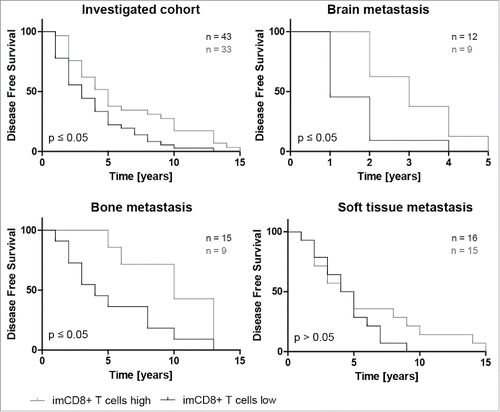 Figure 4. Higher amounts of CD8+ lymphocytes within the invasive margin is associated with significantly longer disease free survival (DFS). Kaplan–Meier plots of disease free survival dichotomized at the respective CD8+ imTIL median of the primary tumor (also see Table 2) into CD8+ T cells high and CD8+ T cells low show that higher amounts of CD8+ T cells within the invasive margin of the primary tumor are generally (A) but also in the subgroups with distant metastasis into brain and bone except for soft tissue metastasis associated with a with significantly longer DFS again (B–D).