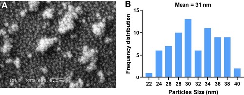 Figure 8 SEM micrographs of D-SNPs.Notes: (A) Spherical shape of D-SNPs, with some aggregation. Scale bar, 0.2 µm. (B) The frequency distribution of D-SNPs, average size 31 nm.Abbreviations: SEM, scanning electron microscope; D-SNPs, silver nanoparticles fabricated using Desertifilum sp.