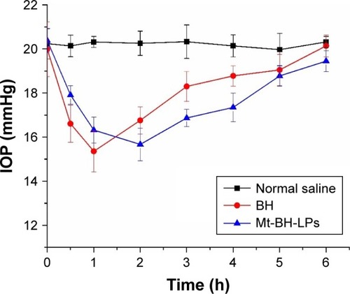 Figure 18 Change in IOP for rabbits with saline, BH solution, and Mt-BH-LPs.Abbreviations: IOP, intraocular pressure; Mt-BH-LPs, montmorillonite–betaxolol hydrochloride liposomes; BH, betaxolol hydrochloride.