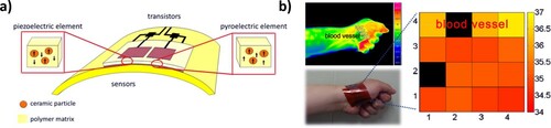 Figure 21. (a) Scheme of the bifunctional piezo- and pyroelectric sensor array [Citation320] and (b) bifunctional device mapping of the temperature distribution on human skin including the area with a blood vessel and comparing it with the thermal image obtained by an IR camera [Citation321]. (Reproduced from Ref [320] ,licensed by Springer Nature, open access article distributed under the terms and conditions of the Creative Commons Attribution (CC BY) license (http://creativecommons.org/licenses/by/4.0/). Reproduced from Ref [321] with permissions of American Institute of Physics Publishing (Copyright 2009)).