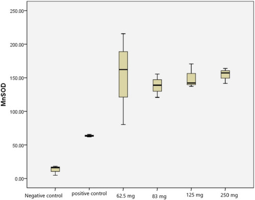 Figure 1 Intensity of MnSOD expression on PC-3 cell line.