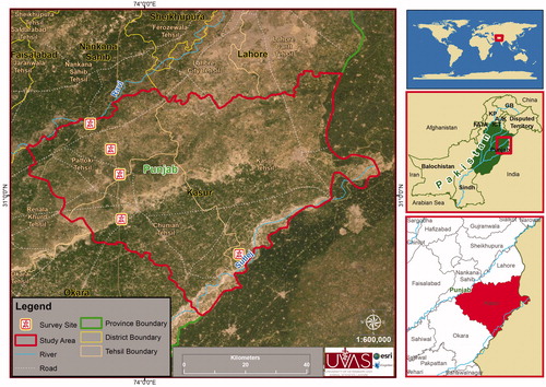 Figure 1. Distribution map of Euphlyctis kalasgramensis from Punjab Pakistan.