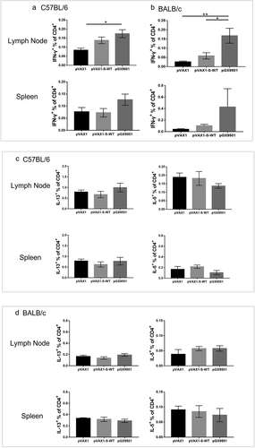 Figure 4. pGX-9501 promoted a biased CD8 T cell-based Th1-type cytokine phenotype and did not induce a TH2-associated phenotype. Single suspensions of splenocytes and lymphoid cells of lymph nodes harvested from C57BL/6 (a) or BALB/c (b) mice immunized were stimulated with 10 mg/mL SARS-CoV-2 peptide pools in vitro for 4 to 6 hours, and IFN-γ production from CD4+ T cells was analyzed by flow cytometry in both the C57BL/6 and BALB/c mice strains. Cytokine expression was studied using the SARS-CoV-2 peptide pool for immune stimulation.