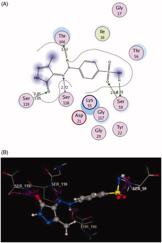 Figure 6. 2D and 3D Views (A, B) of the compound 3a docked in the active site of DHFR (PDB ID: 1DLS) using MOE software. Dotted lines and arrows represent hydrogen bonds.