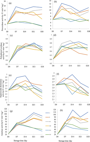 Figure 6. Response of enzymatic activity after sprayed strain S61 and its extract: peroxidase (POD) after spraying S61 (a) and its ethyl acetate extract (b), oxidase (PPO) after spraying S61 (c) and ethyl acetate extract (d), superoxide dismutase (SOD) after spraying S61 (e) and ethyl acetate extract (f), catalase (CAT) after spraying S61 (g) and ethyl acetate extract (h).