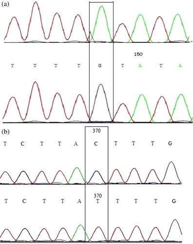 Figure 2. Alignment of AA and AB at the site of the of 5′ promoter (a) and exon 7 (b) of OPN gene in Dazu Black goat.