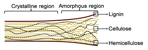 Figure 2. Schematic showing the structure of lignocellulose. Lignocellulose is composed of three components, including cellulose (solid tan lines), hemicellulose (dotted black lines), and lignin (solid brown lines). Cellulose is composed of β-1,4-linked glucose polymers, while hemicellulose is composed of a variety of pentoses. Lignin, which provides structural support for lignocellulose, coats these polymers.