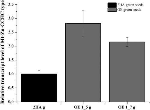 Figure 9. Relative expression level of Mt-Zn-CCHC gene in green T2 seeds from T1 progeny of M. truncatula OE 1 line, OE 1_5 and OE 1_7.