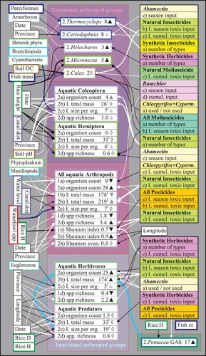 Figure 2. Data  variation of invertebrate variables (only arthropods; taxonomic and functional groups) as explained by independent predictors (plankton, biophysical, farm, and pesticide variables). Refer to legend of Figure 1 for an explanation of the arrows, numbering, and triangles. The figures represent (a) average organism counts in all net samples per farm, (b) average total mass indices (xi; ~volume in mm3 in all net samples per farm), (c) average organism mass indices (xi; ~mm3), (d) average number of species, and average levels of biodiversity as described by (e) the Shannon–Weiner index, and (f) the Shannon Evenness index. Correlations between herbivore and predator group variables (all positive) are indicated by light connecting lines with thicknesses corresponding to significances. I. = index; cumul. = cumulative; H = height; D = density; fish ct = fish counts; dist. = distance; spp = species; org. = organism; even. = evenness; OC = organic carbon content; GAS = golden apple snail; Cyperm. = cypermethrin.