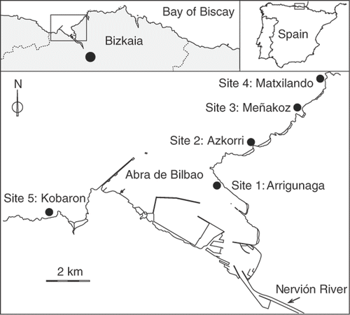 Fig. 1. Location of the study area and sites.