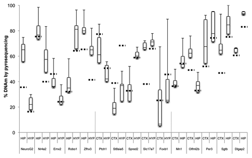 Figure 4 Boxplot of pyrosequencing data obtained from the cerebral cortex (CTX), hippocampus (HIP) and hypothalamus (HYP) brDMRs. We assessed and validated percent DNA methylation of five unique DMRs from each pair of brain tissues compared by CHARM. For each brDMR, the number of CpGs assayed varied from 4 to 16 CpGs, thus a small subset of the region assayed by the CHARM array. Average percent methylation was determined from all of the assayed CpGs for each brDMR in each brain tissue type and displayed as a boxplot. Stippled horizontal lines represent the percent DNAm predicted by CHARM for the particular brain tissue for the entire brDMR region. Types of brain tissues being compared and the nearest genes associated with the brDMRs are indicated below the X-axis.