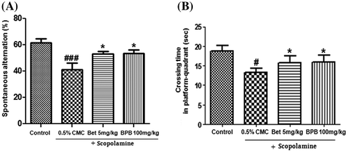 Fig. 3. The enhancing effects of betulin and BPB on spatial memory impairment induced by scopolamine in mice.