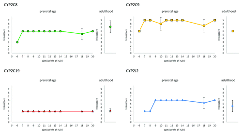 Figure 5. Expression of CYP2C8, CYP29, CYP2C19, and CYP2J2 in the proximal tubuli of embryonic/fetal kidney during 6th-20th week of IUD (n = 25) and adult tissue samples (n = 5). Graphs show the average histoscore. The error bars represent standard deviation.