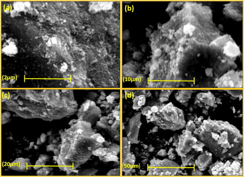 Figure 2. SEM images (a–d) of the as-synthesized magnetite catalyst.