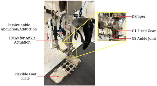 Figure 4. Robot shank and ankle joint.