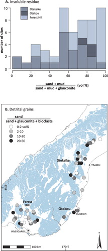 Figure 4 A, Histogram of the volume percent sand and mud content of 52 limestone sites in the South Island as a proportion of counted non-carbonate grains (= sand + mud + glauconite). Data from rightmost column in Table 2. Note that, because minor insoluble residues of siliceous and phosphatic microfossils are not shown in Table 2, the sand fractions in the histogram may be slight overestimates. B, Geographic distribution of the vol% sand content of Oligocene–Miocene Otekaike, Otakou and Forest Hill limestones as a proportion of all clastic grains (= bioclasts + glauconite + sand). Data from fifth columns from the right in Table 2. Blue colour on map = geological basement (Cambrian to Early Cretaceous rocks).