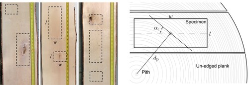 Figure 1. Examples of selection locations within the un-edged boards for parallel and perpendicular to grain test specimens, with and without knots (left). Cross-section view with definitions of growth characteristics, distance to pith dp and growth-ring angle αc (right). Specimen length l, width w and thickness t.