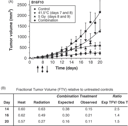 Figure 4. Fractionated radiation treatment enhancement by rational scheduling of mild temperature hyperthermia. B16F10 tumour volumes after hyperthermia, radiation or combination treatments (A). Tumour-bearing animals were treated with control (-▪-), heat (-▾-, 41.5°C 60 min on days 7 and 8; indicated by arrowhead), radiation (-▴-, 5 Gy, day 8 and 9, indicated by diamond arrow tail), or combined (-♦-). Data are plotted as means ± SEM over time with third order polynomial line fitting. Efficacy determination of combination therapy of heat and fractionated radiation (B). The following formula was applied to determine efficacy Citation[21]: the expected tumour growth inhibition from combination treatment (tumour growth inhibition by hyperthermia × tumour growth inhibition by radiation) / observed tumour growth inhibition. A ratio >1 indicates a synergistic (greater than additive) effect.