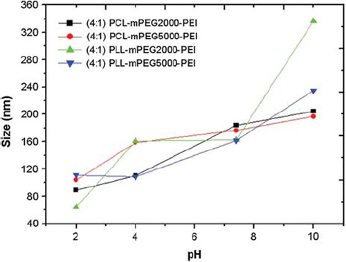 Figure 3. Change in size of PEI-bound polymers by pH.