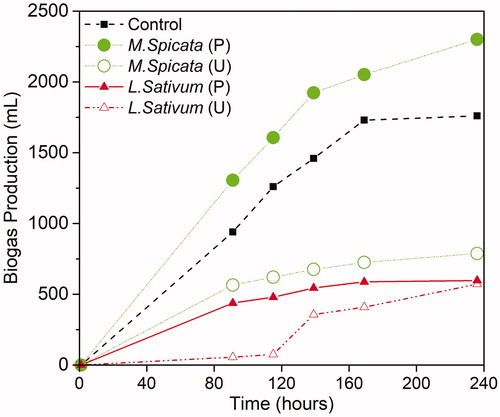 Figure 4. Biogas produced from batch anaerobic digesters fed with phytoextraction plants and a control sewage sludge sample, where P: feedstock pretreated with polymer for 24 hours; U: untreated feedstock. Reactors and treatments, n = 1; number of plant species per sample: N minus characterization subset (see §2.5).